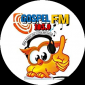 RÁDIO GOSPEL FM
